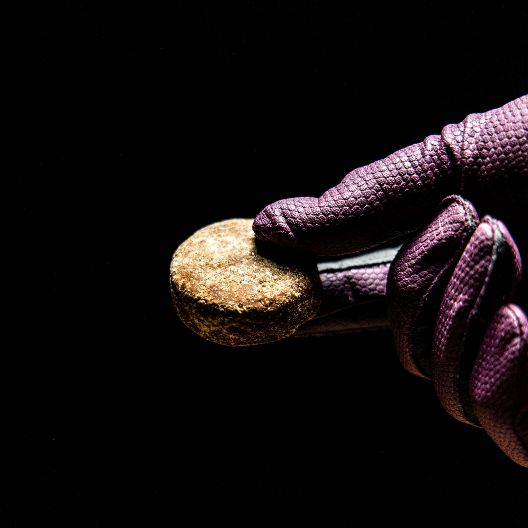 premier performance Electrolyte Cookies 10 stk 132301729 01